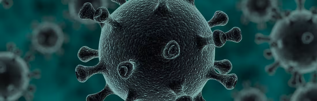 A microscopic virus that antimicrobial technology protects against