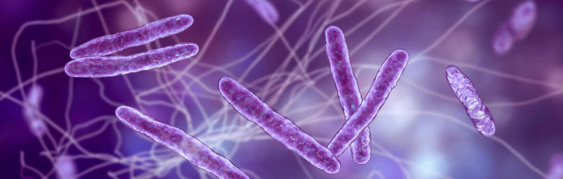 An illustration of some of the most common microbes found on surfaces