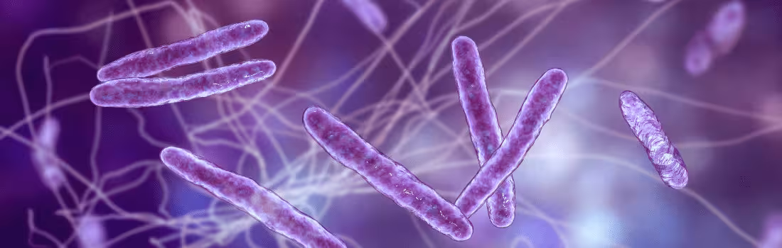 An illustration of some of the most common microbes found on surfaces