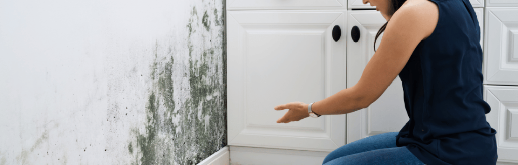 A woman gesturing at a wall covered in mold exasperatedly
